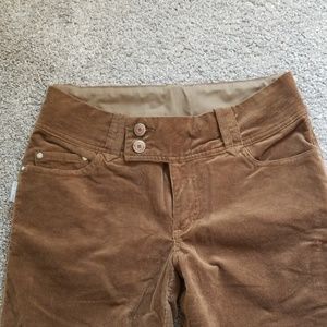 Blurr Corduroy Pants